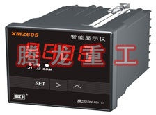 溫度表、數(shù)字顯示儀、濕度表