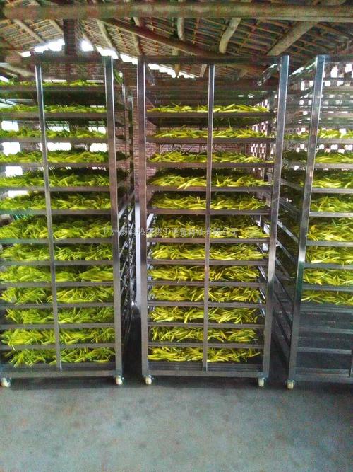 黃花菜烘干機(jī)、黃花菜烘干設(shè)備、黃花菜干燥機(jī)、黃花菜干燥設(shè)備、